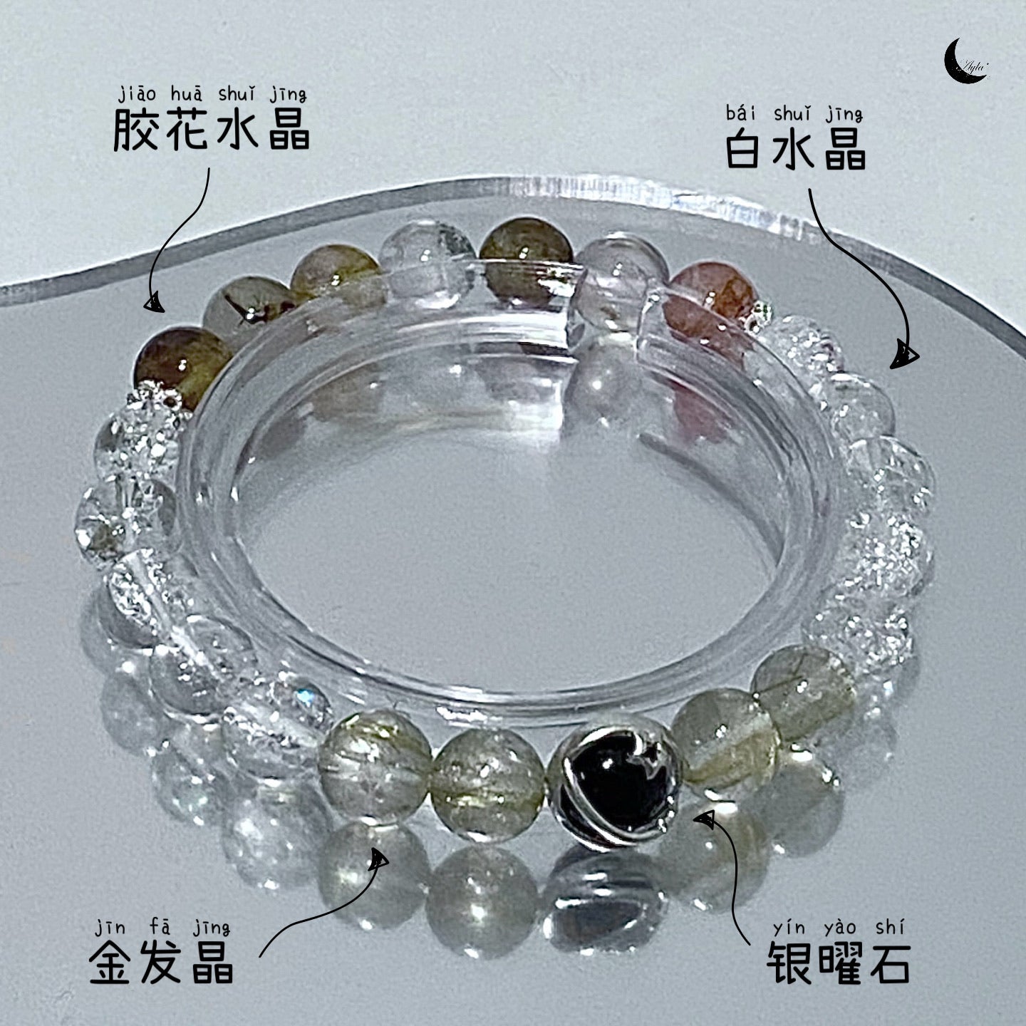 [之约] 弗朗之约 Barberton Daisy’s Promise