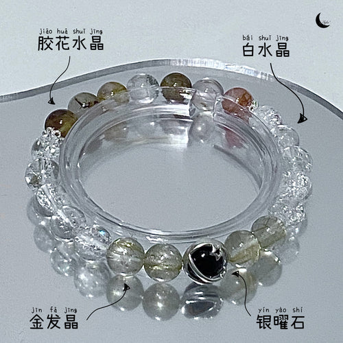 [之约] 弗朗之约 Barberton Daisy’s Promise