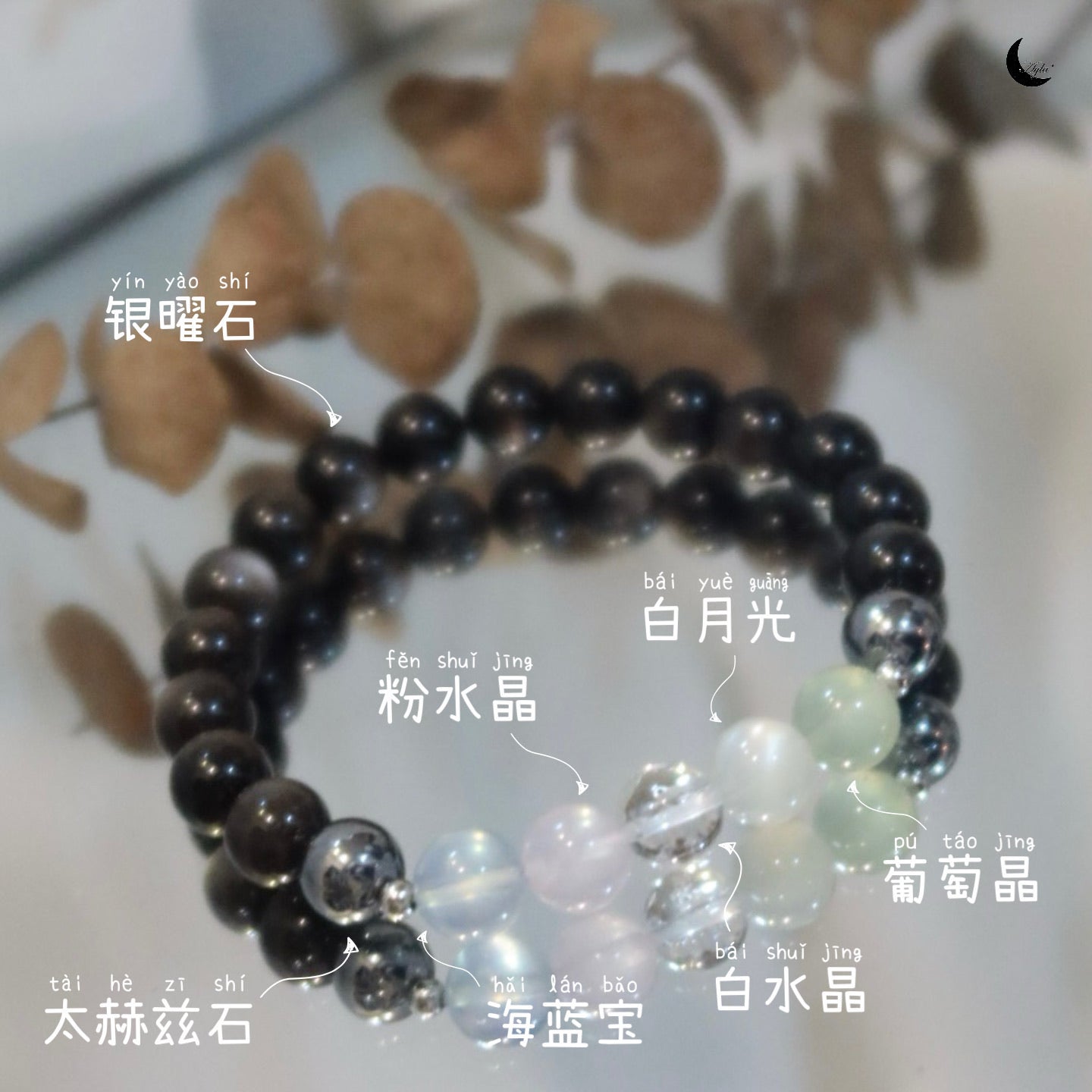 [初] 初遇 First Encounter