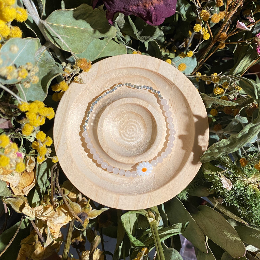 [爱丽丝] 三月兔之花 March Hare's Bloom