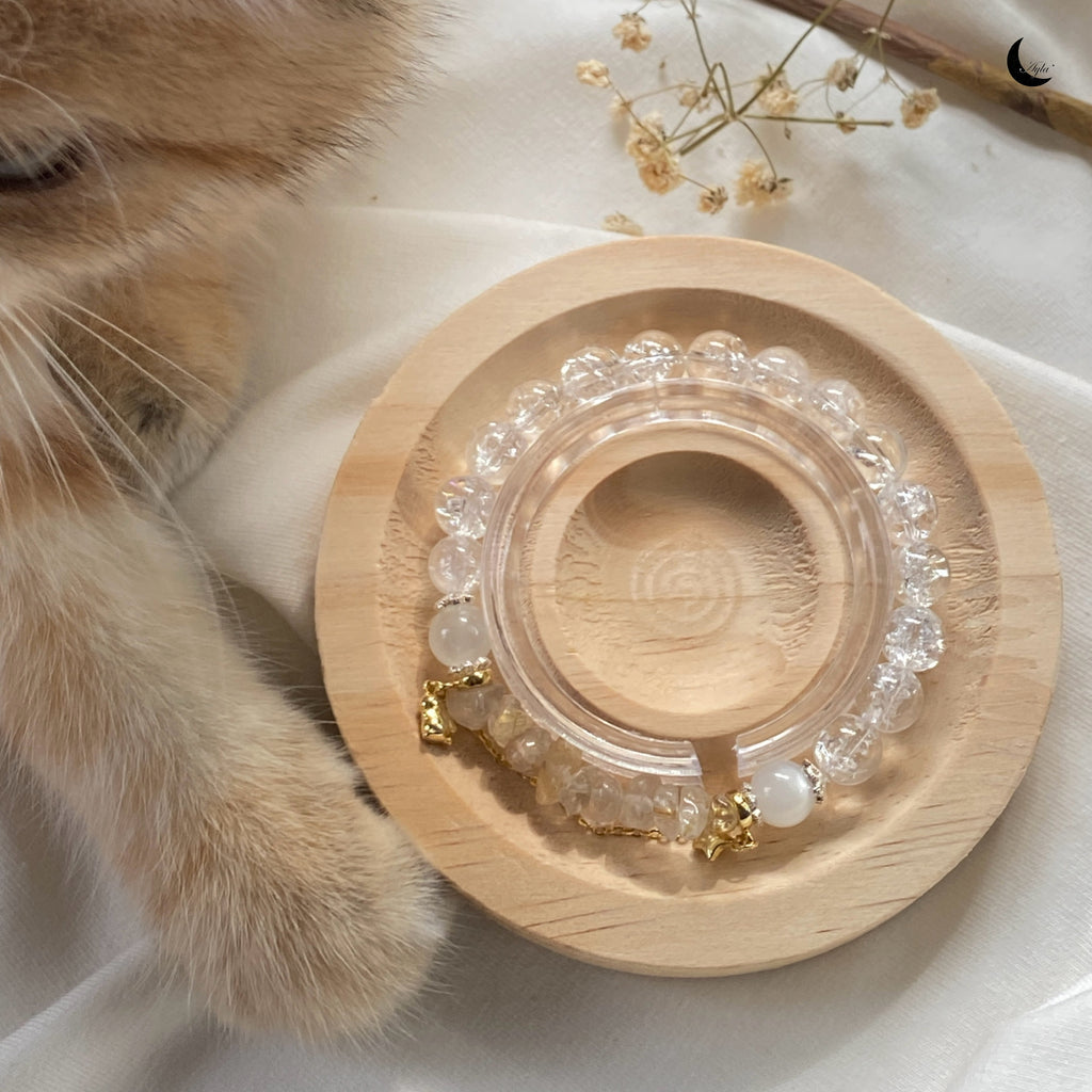 [星] 星光 Starlight