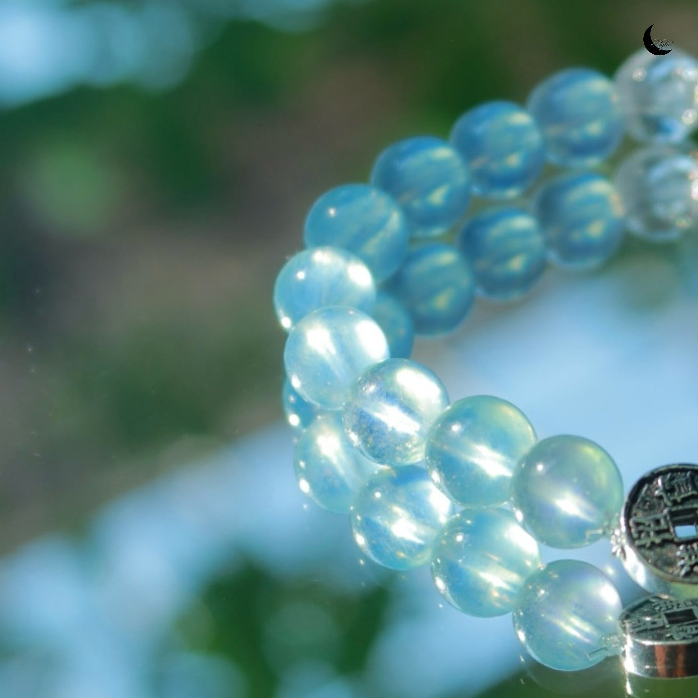 [记] 记忆花语 Memory's Floral Whisper