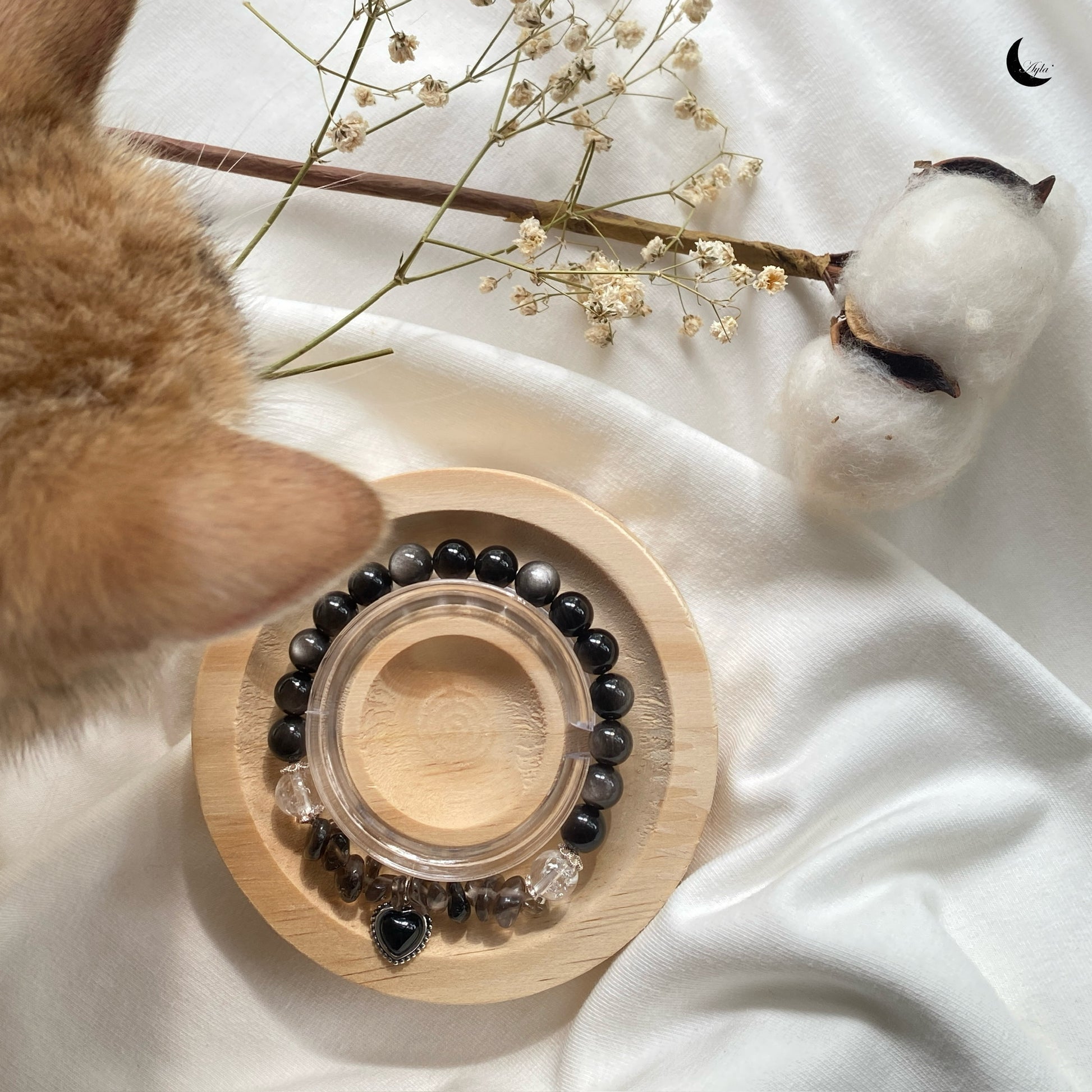 [星] 星辰 Stardust