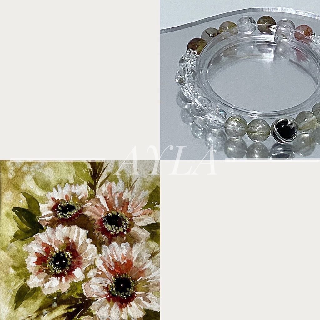 [之约] 弗朗之约 Barberton Daisy’s Promise