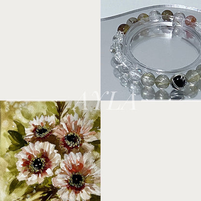[之约] 弗朗之约 Barberton Daisy’s Promise