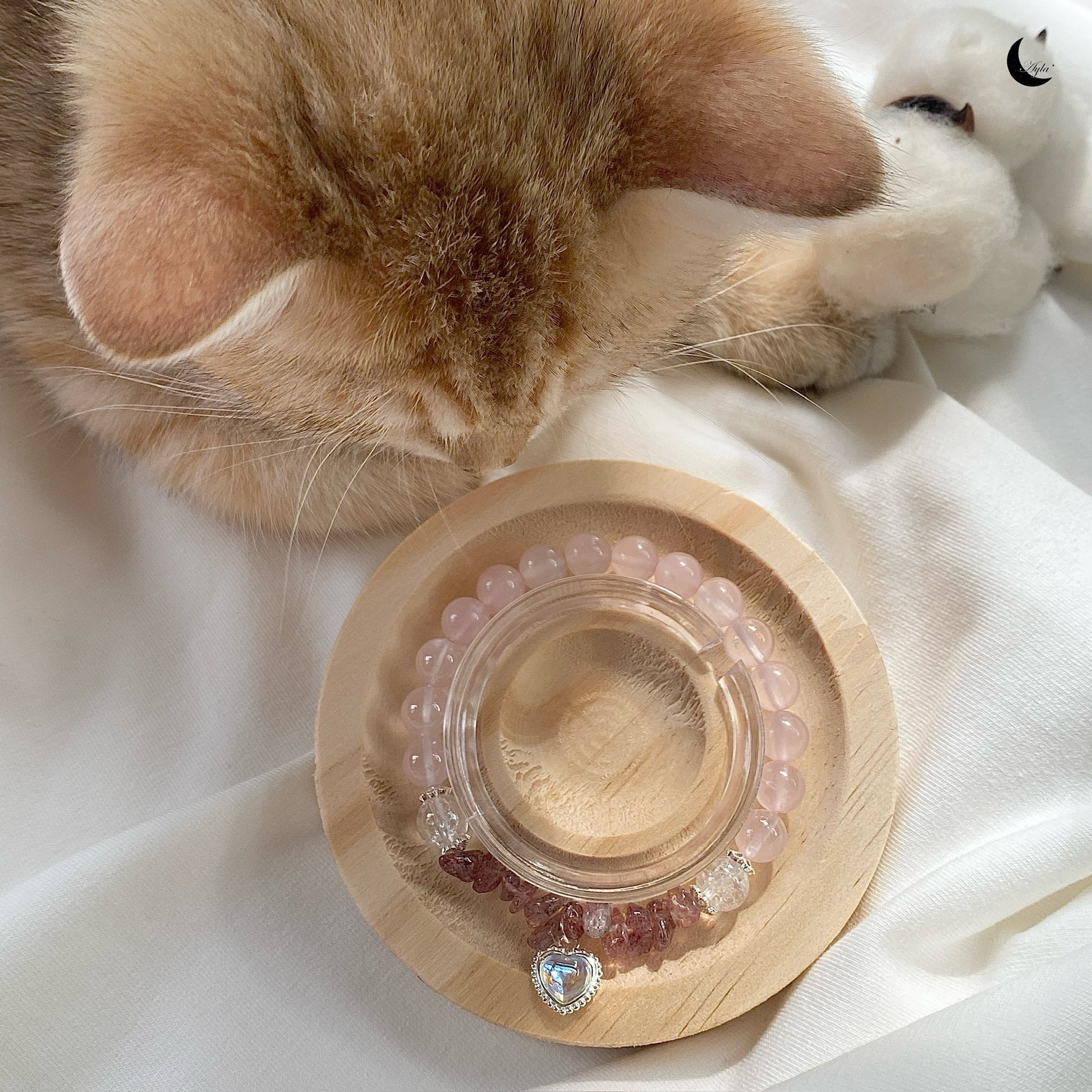 [星] 星梦 Star Dream