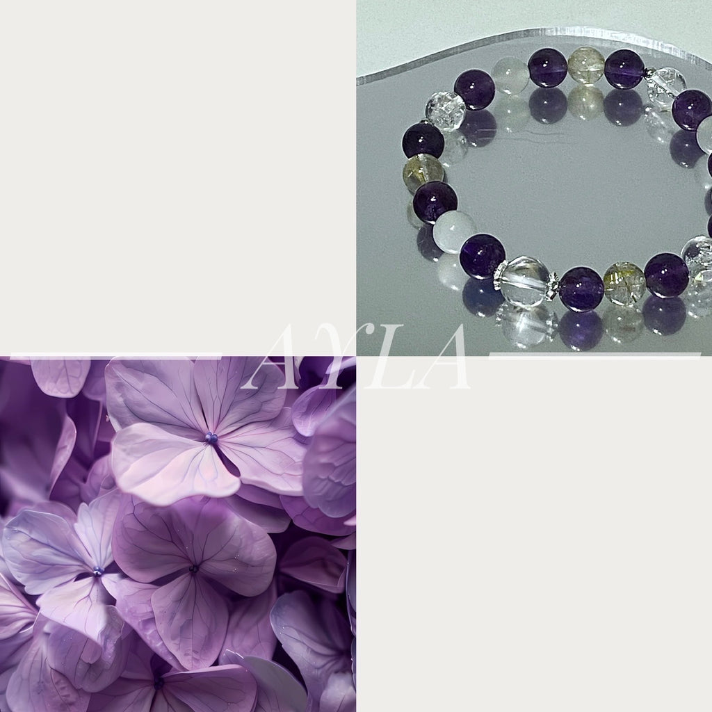 [之约] 紫罗兰之约 Violet’s Promise