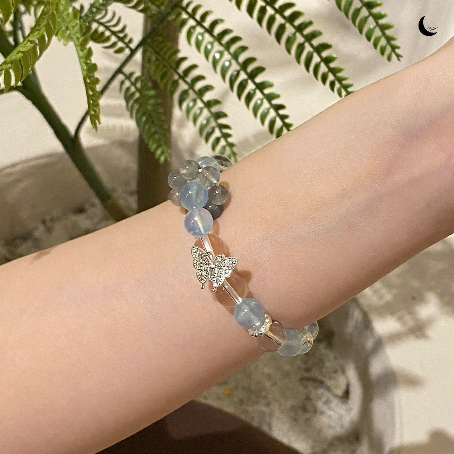 [限量] 幻 Fantasy